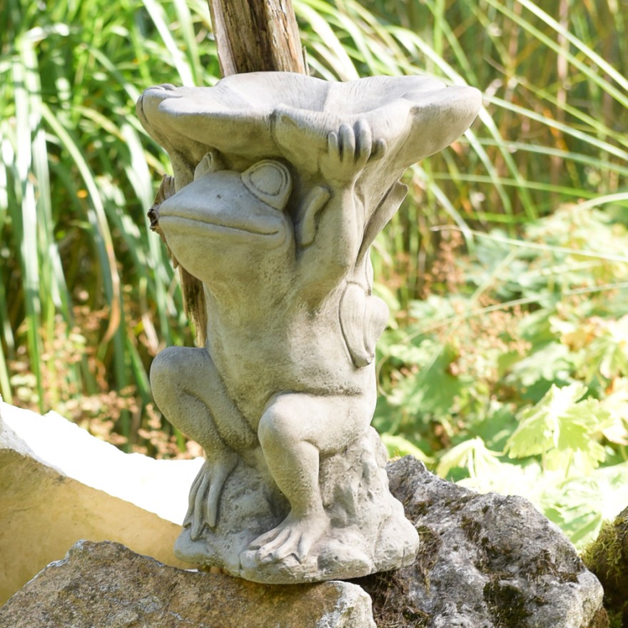Frosch mit Schale