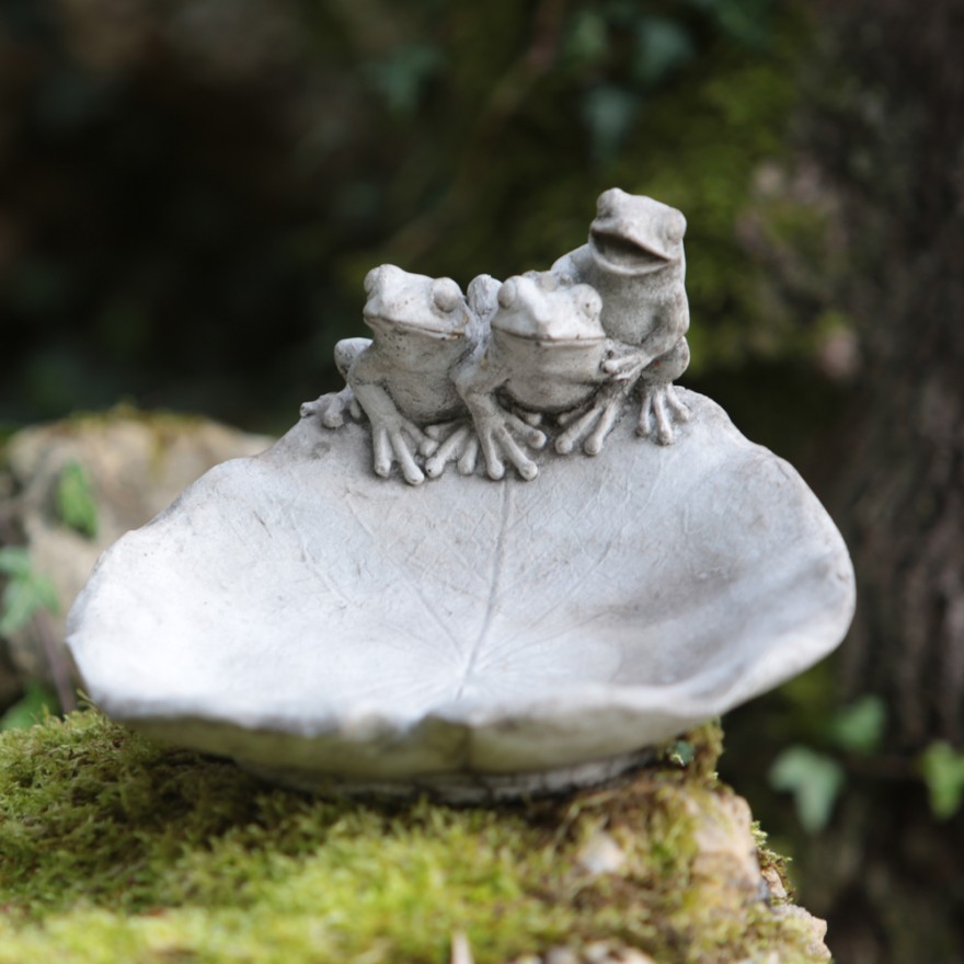 3-Fr-sche-auf-Blatt Drei Frösche auf Laubblatt - Vogelbad