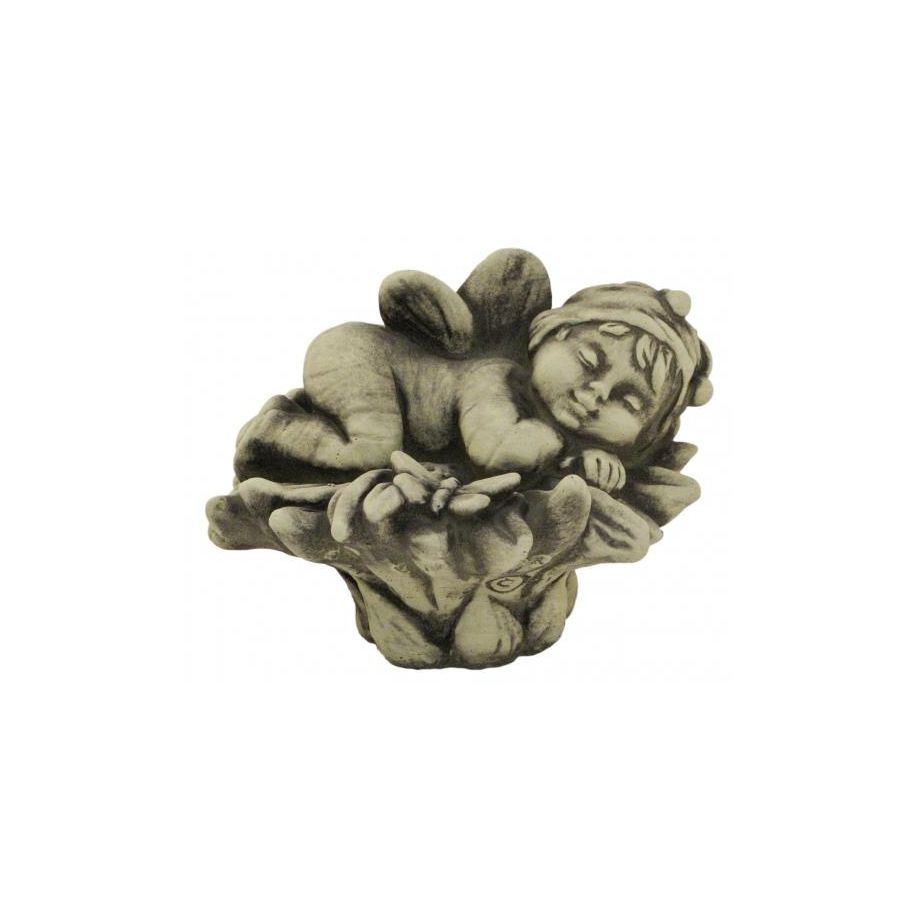 schmetterling Sprössling SCHMETTERLING