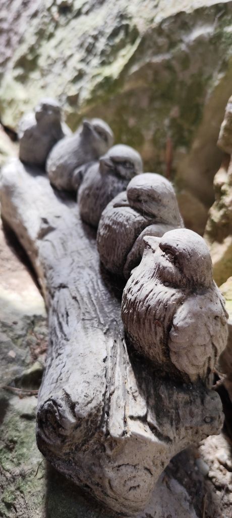 Fünf Vögel auf Baumstamm