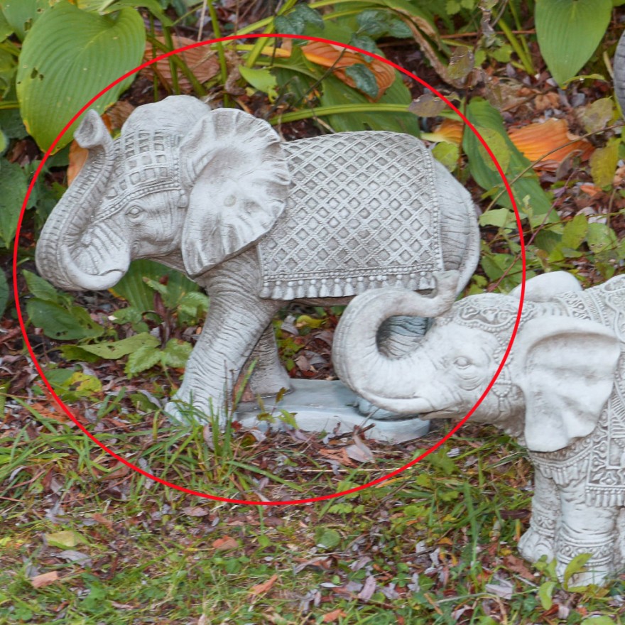 Elefant-auf-Platte Schöner Elefant auf Plattform