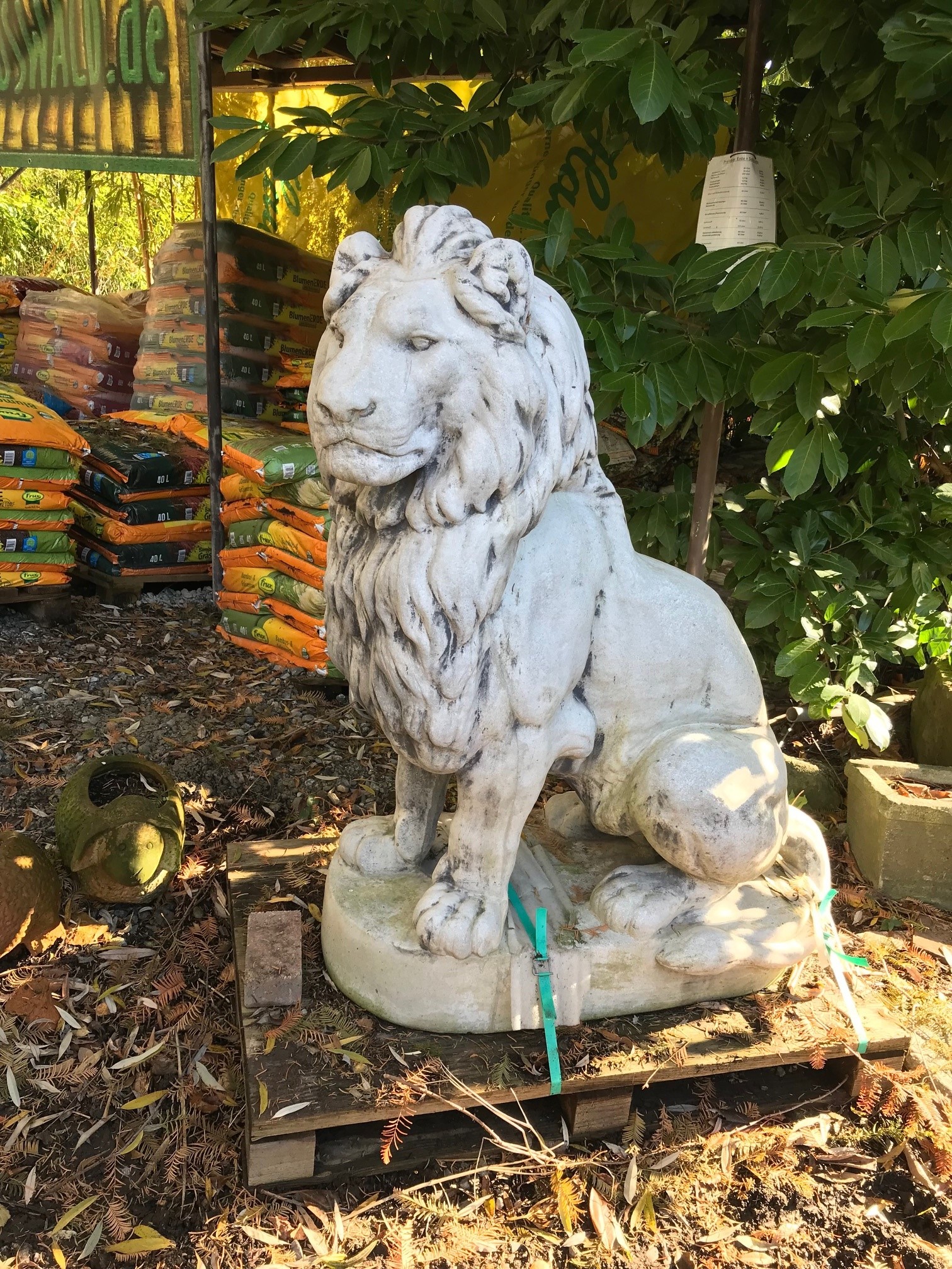 Großer Löwe - 136cm
