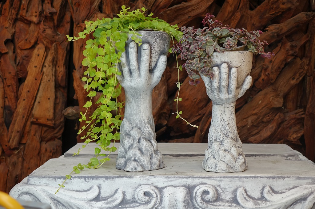 Hand mit Schale