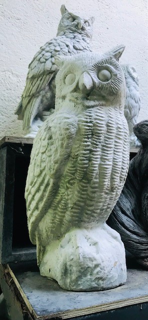 Weiße Eule