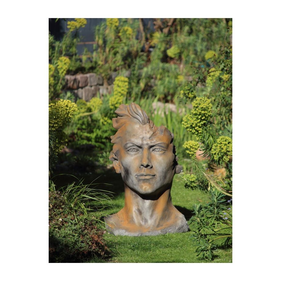 Mann-mittel-rost Gesicht Mann mit Haaren