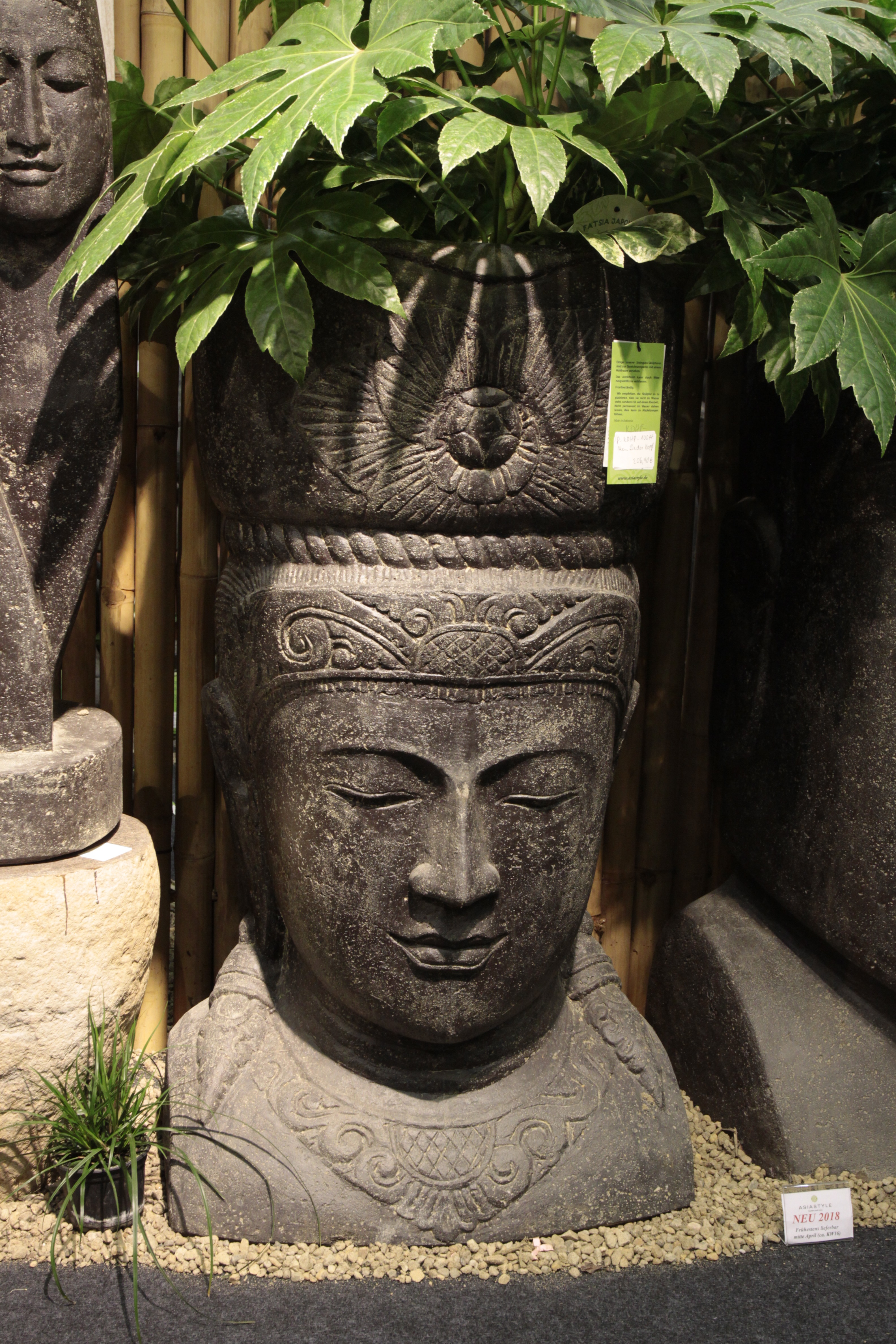 Ken-Dedes-B-ste-3 Ken Dedes Kopf, bepflanzbar