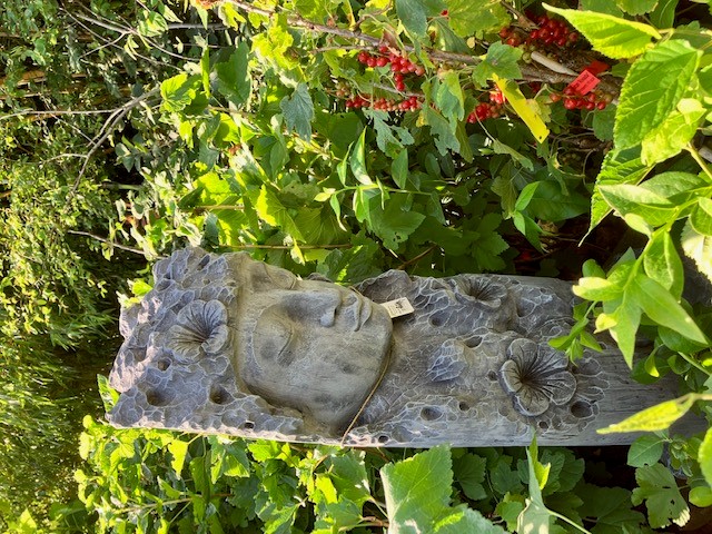 Eyebright, Buddha Gesicht im Holz Eyebright, Buddha Gesicht im Holz