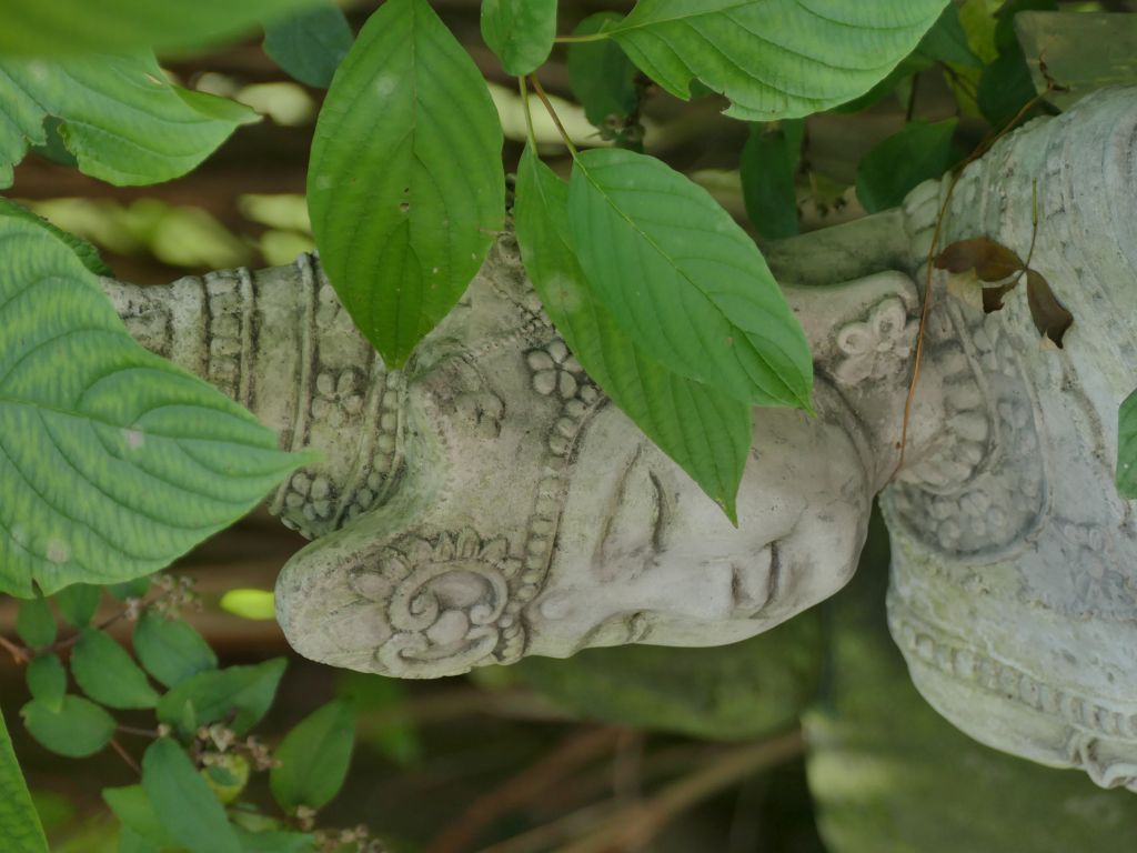 Schöner Buddha mit Schale