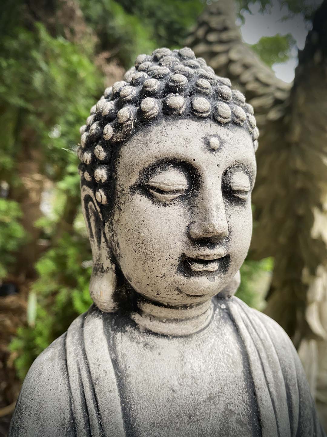 Buddha mit Lotusschale