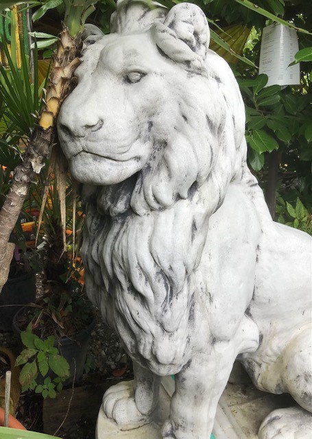 Großer Löwe - 136cm