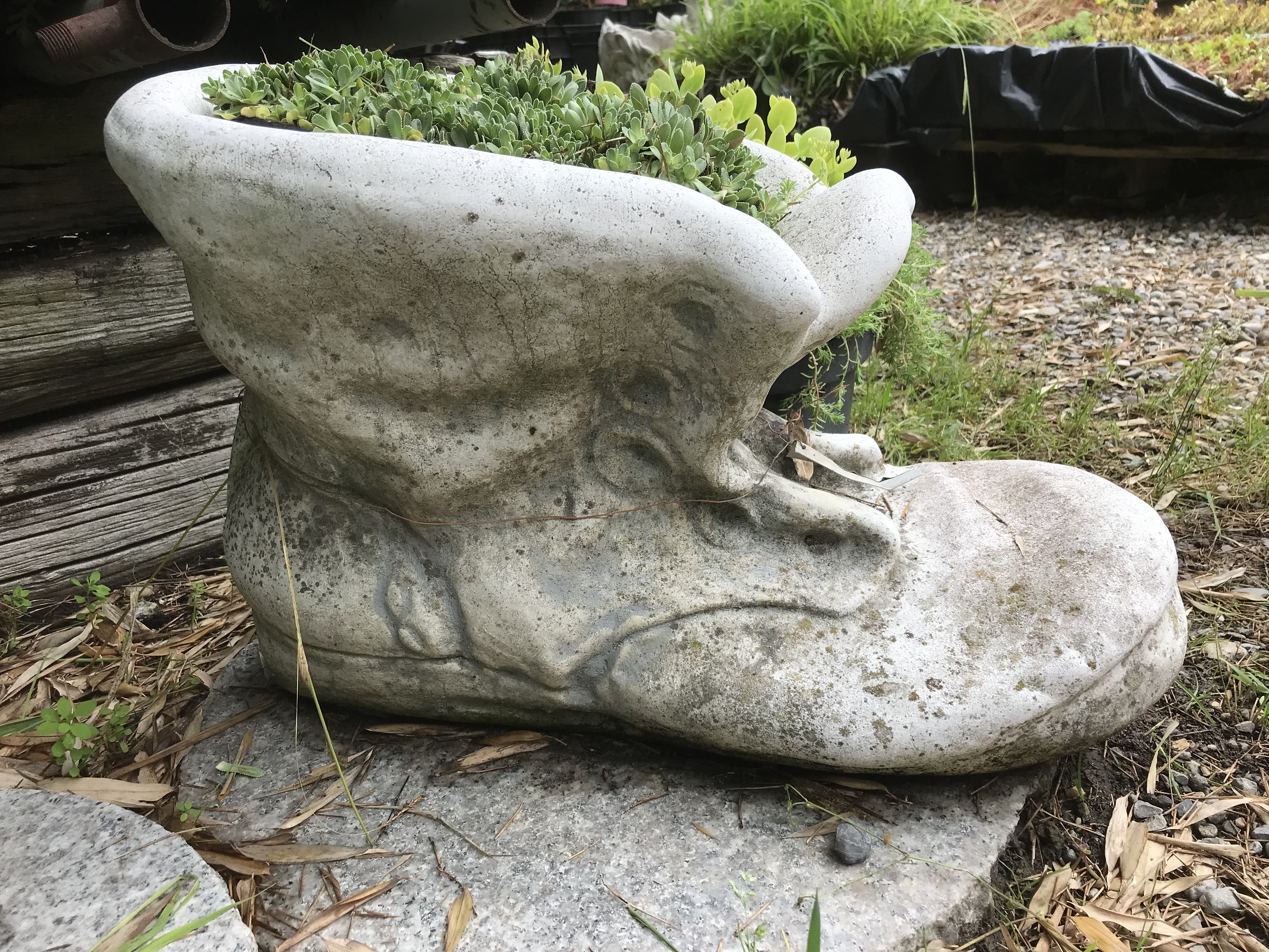 Pflanzschuh groß