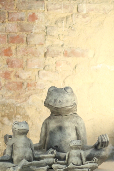 Yoga Frosch