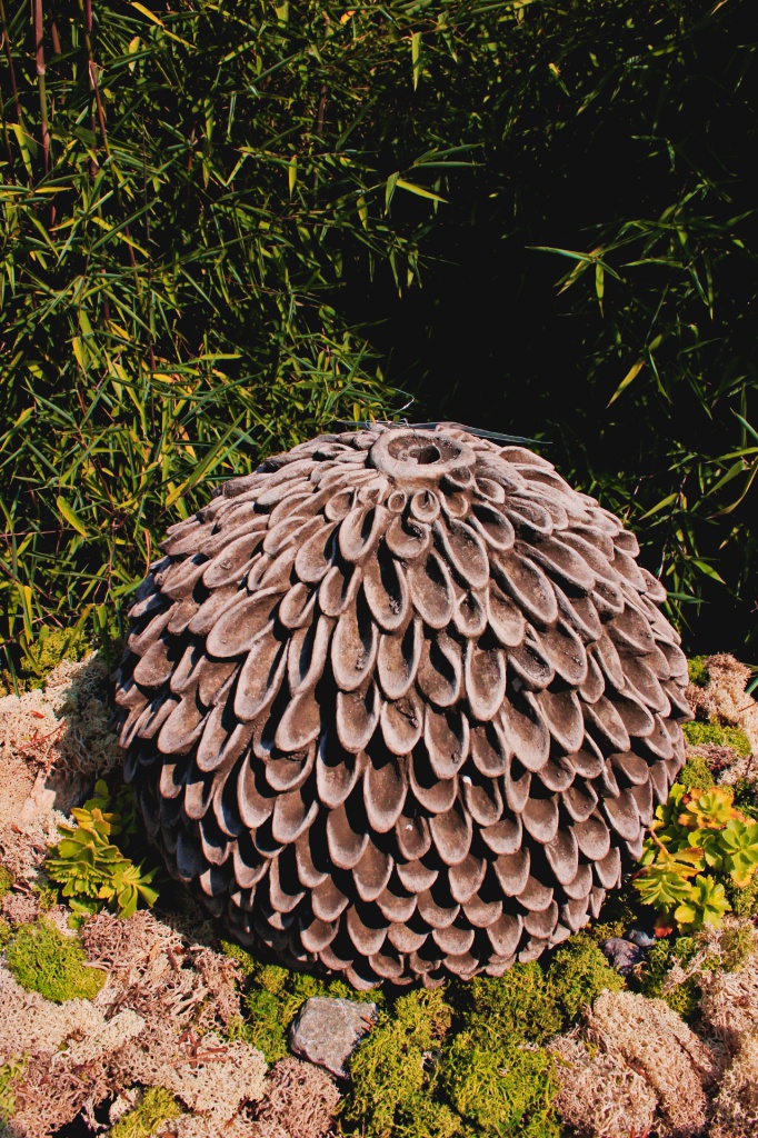 Blüte Dahlia