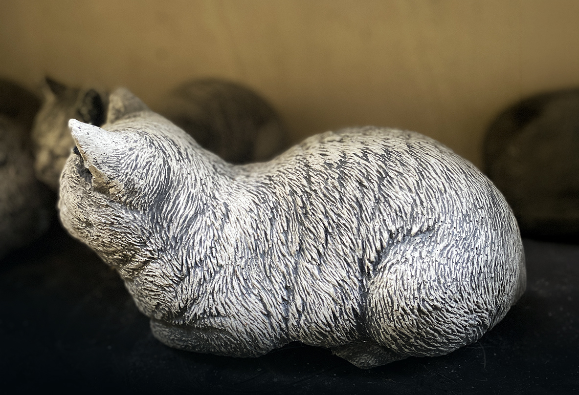 Schlafende Miezekatze