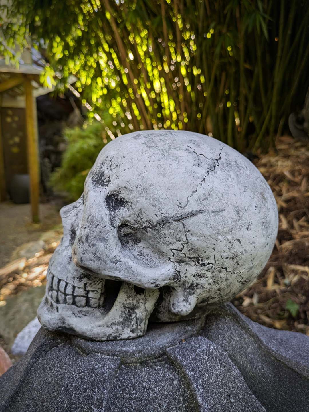 Totenkopf / Schädel