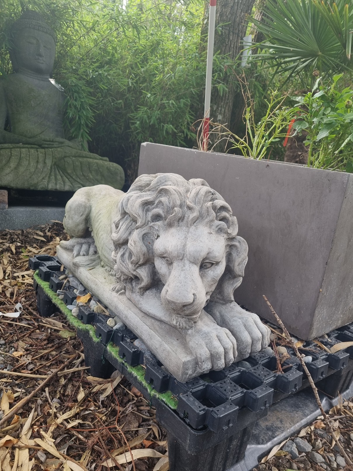 L-we-Krettakotta Liegender Löwe