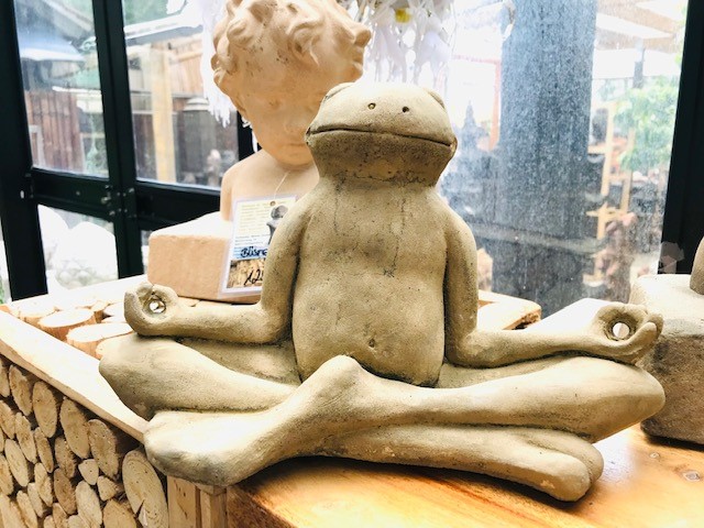 Frosch in Meditation