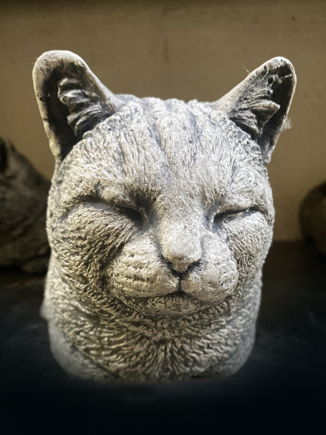 Schlafende Miezekatze
