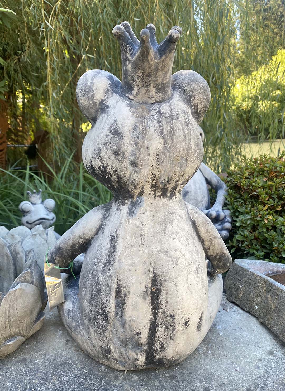 Großer Froschkönig