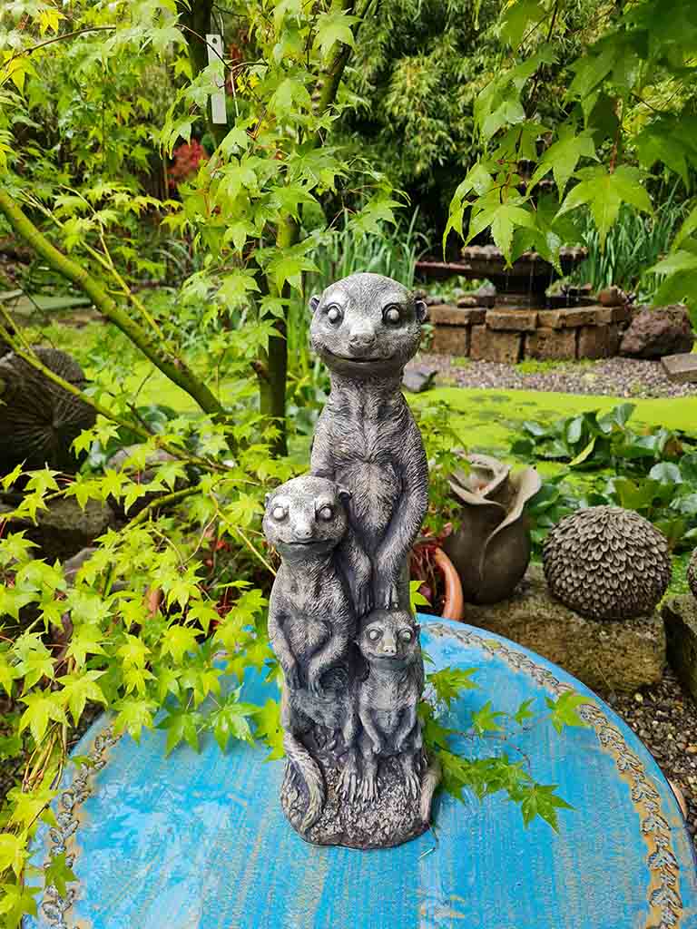 20210715_171819 Erdmännchen Familie