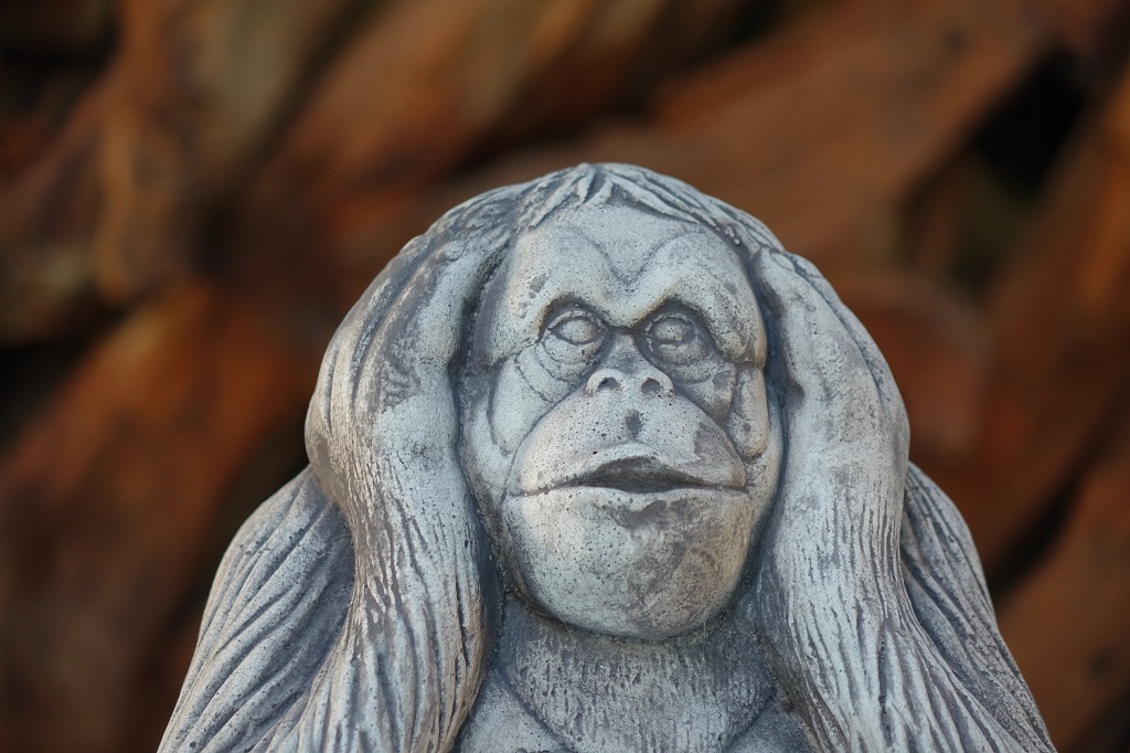 affe-nicht-h-rend-nahaufnahme Affen Steinfiguren - Nicht gehört, nicht gesprochen, nicht gesehen