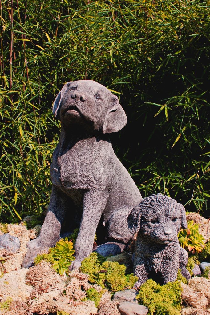 sitzender-Labrador Sitzender Labrador