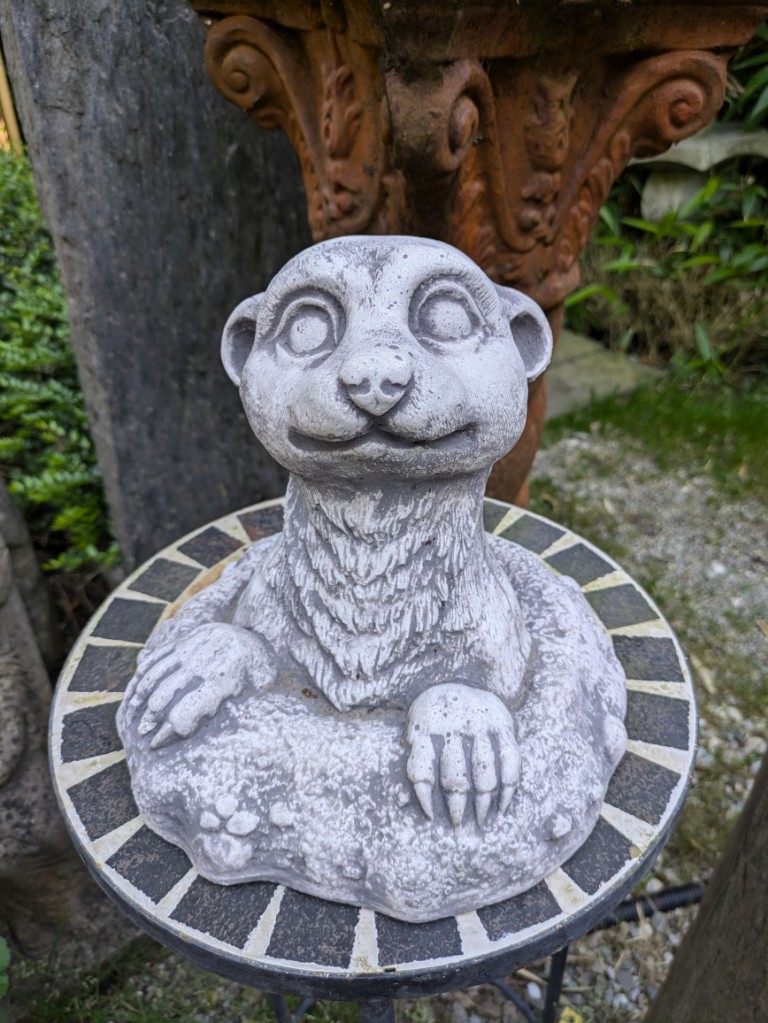 Erdmännchen in seinem Bau