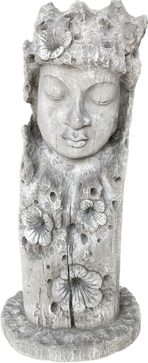 Eyebright, Buddha Gesicht im Holz Eyebright, Buddha Gesicht im Holz
