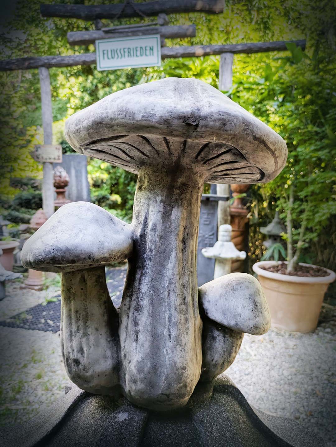 Mega-Pilze