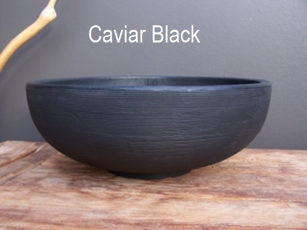 Black Schale Orinoco