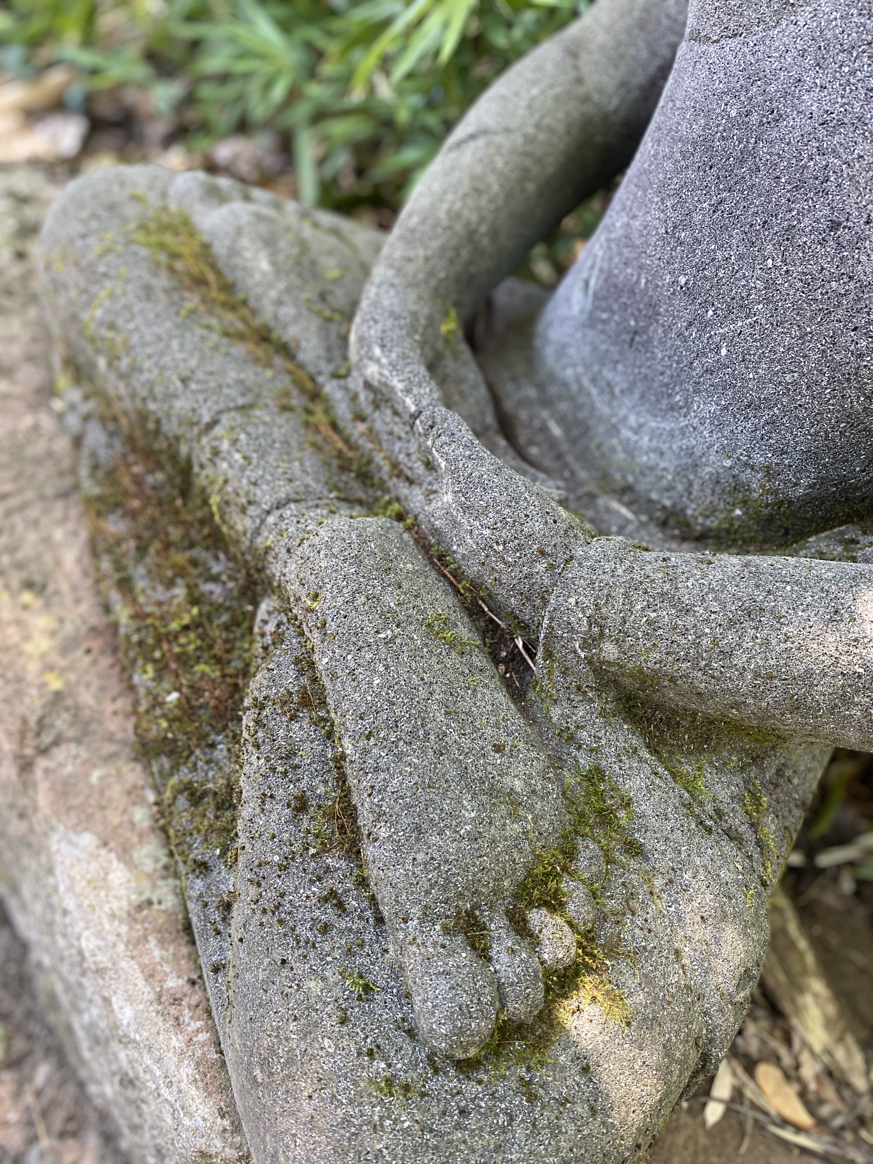 Buddha im Dhyana Mudra der Meditation