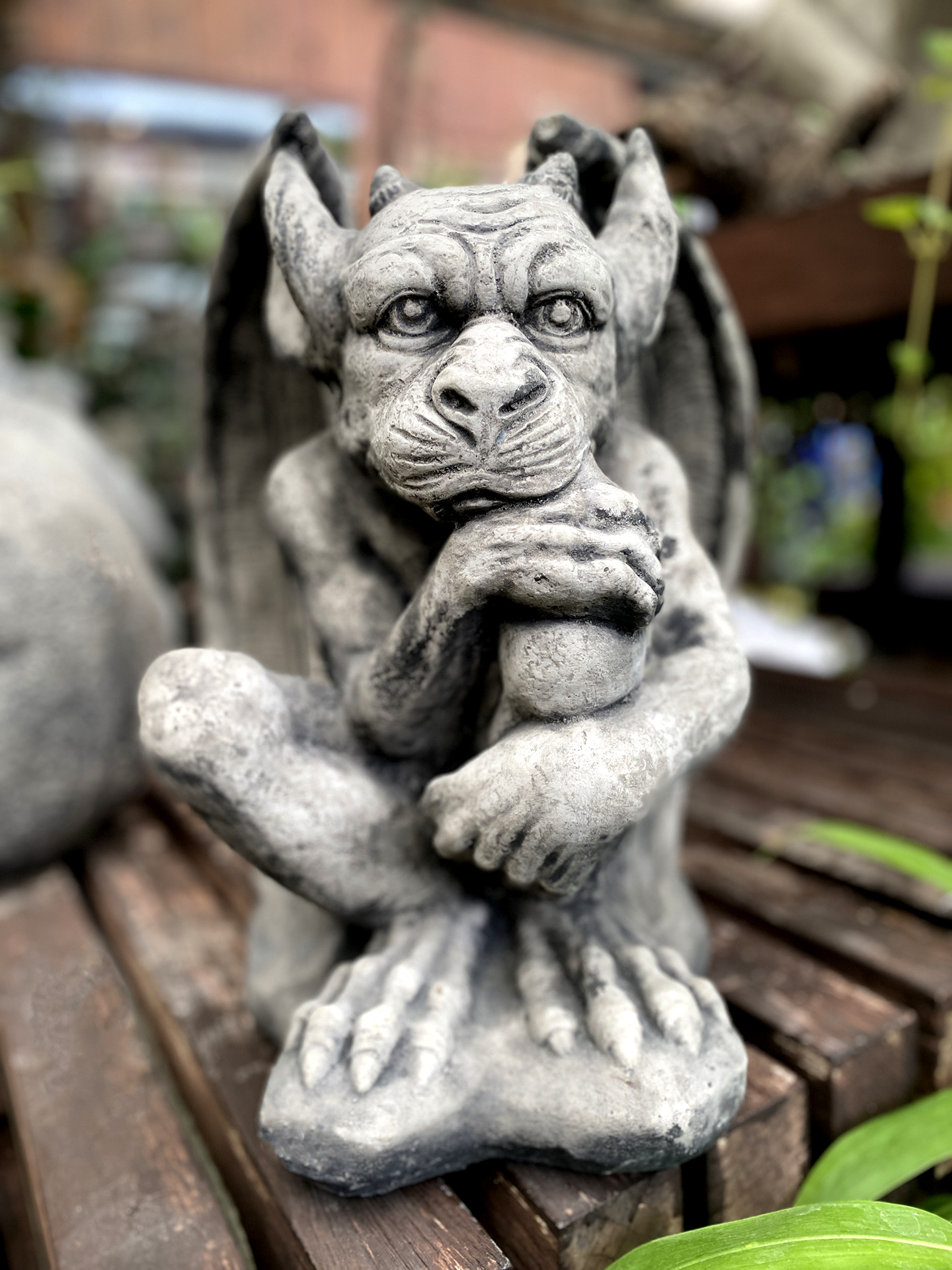 Kleiner Grübel-Gargoyle