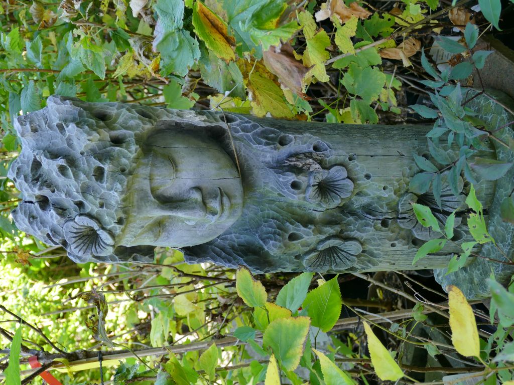 Eyebright, Buddha Gesicht im Holz
