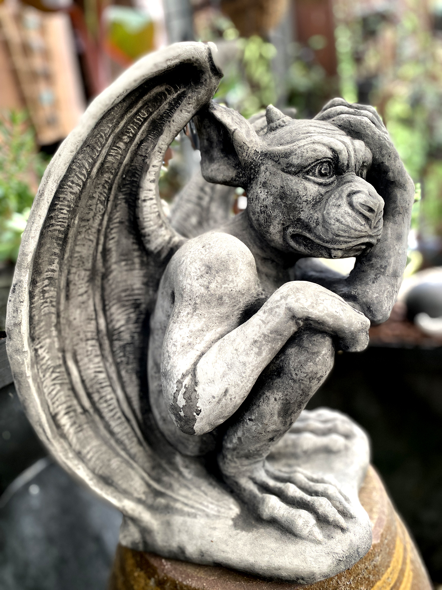 Ausheckender Gargoyle  Kopie