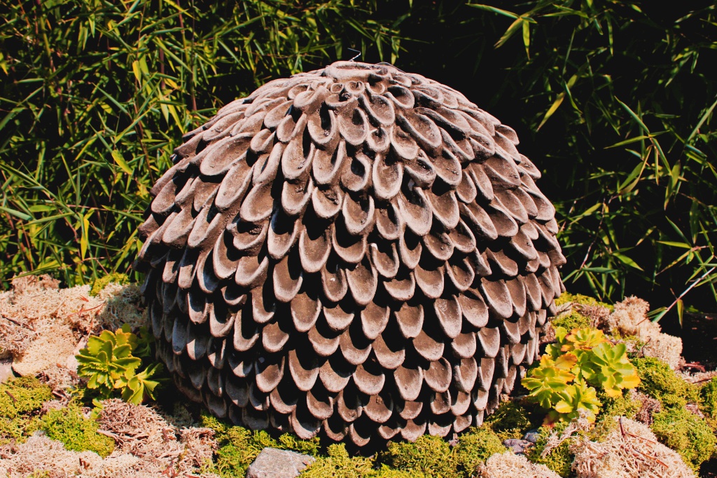 Bl-te-Dahlia-2 Blüte Dahlia