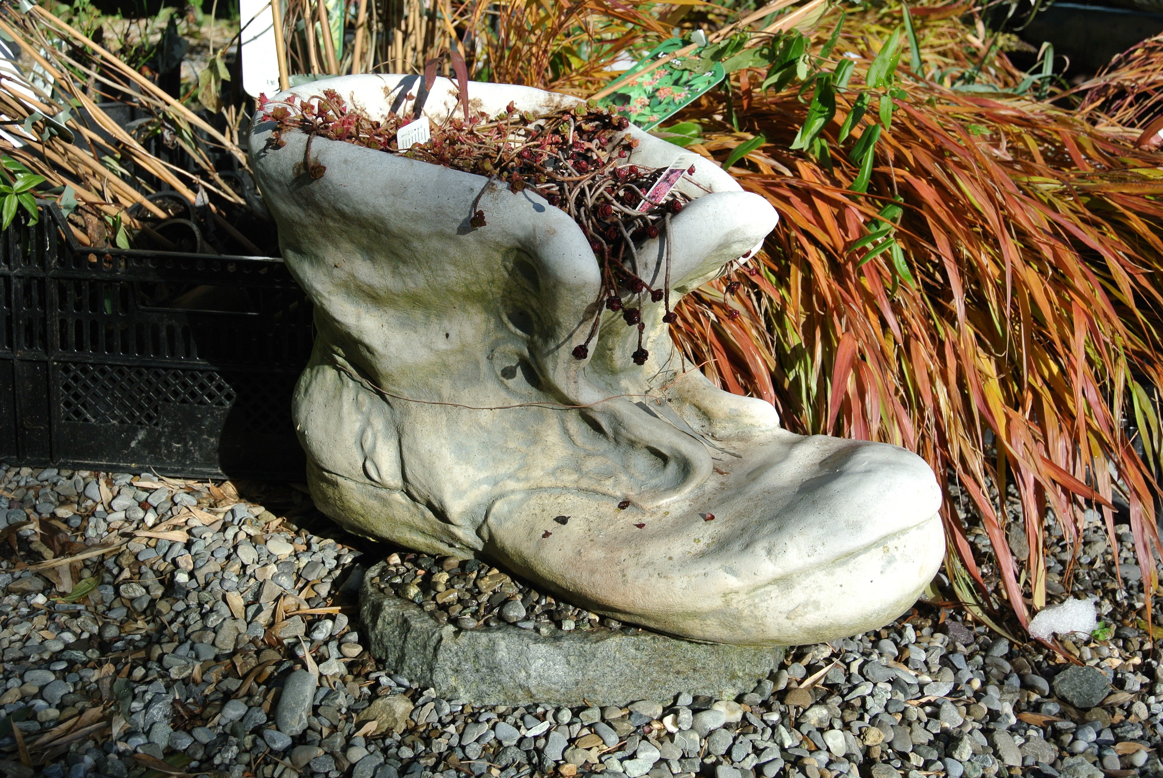 Schuh
