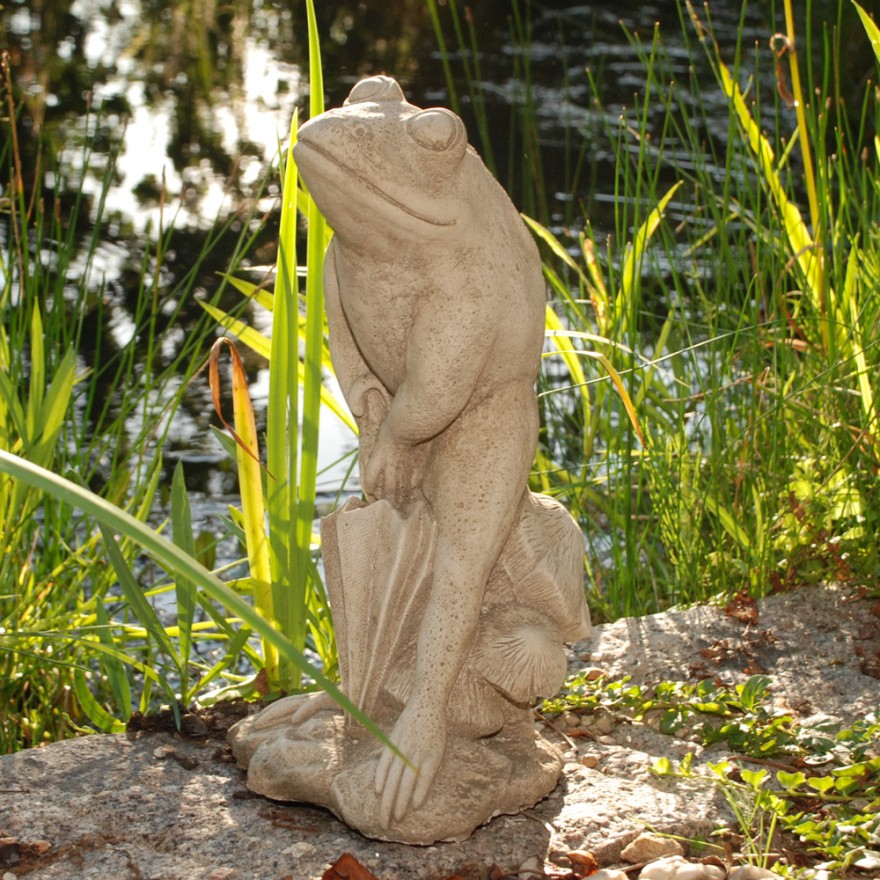 Frosch mit Regenschirm