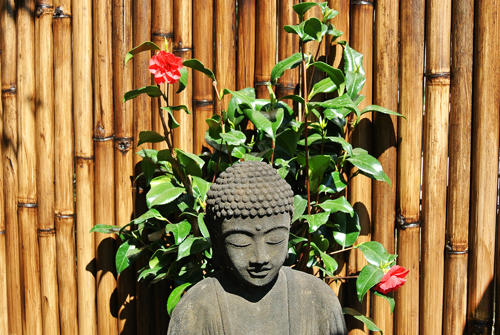 BuddhaSitzMedi-Grau2 Japanischer Buddha aus Lavastein - 40cm