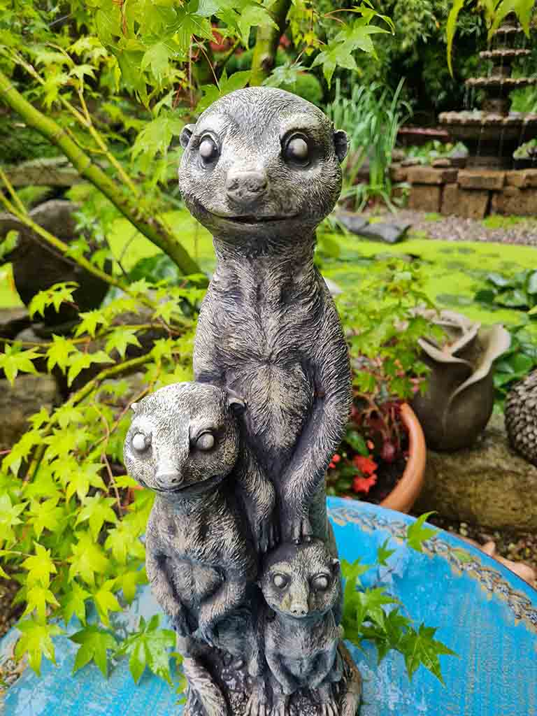 20210715_171853 Erdmännchen Familie