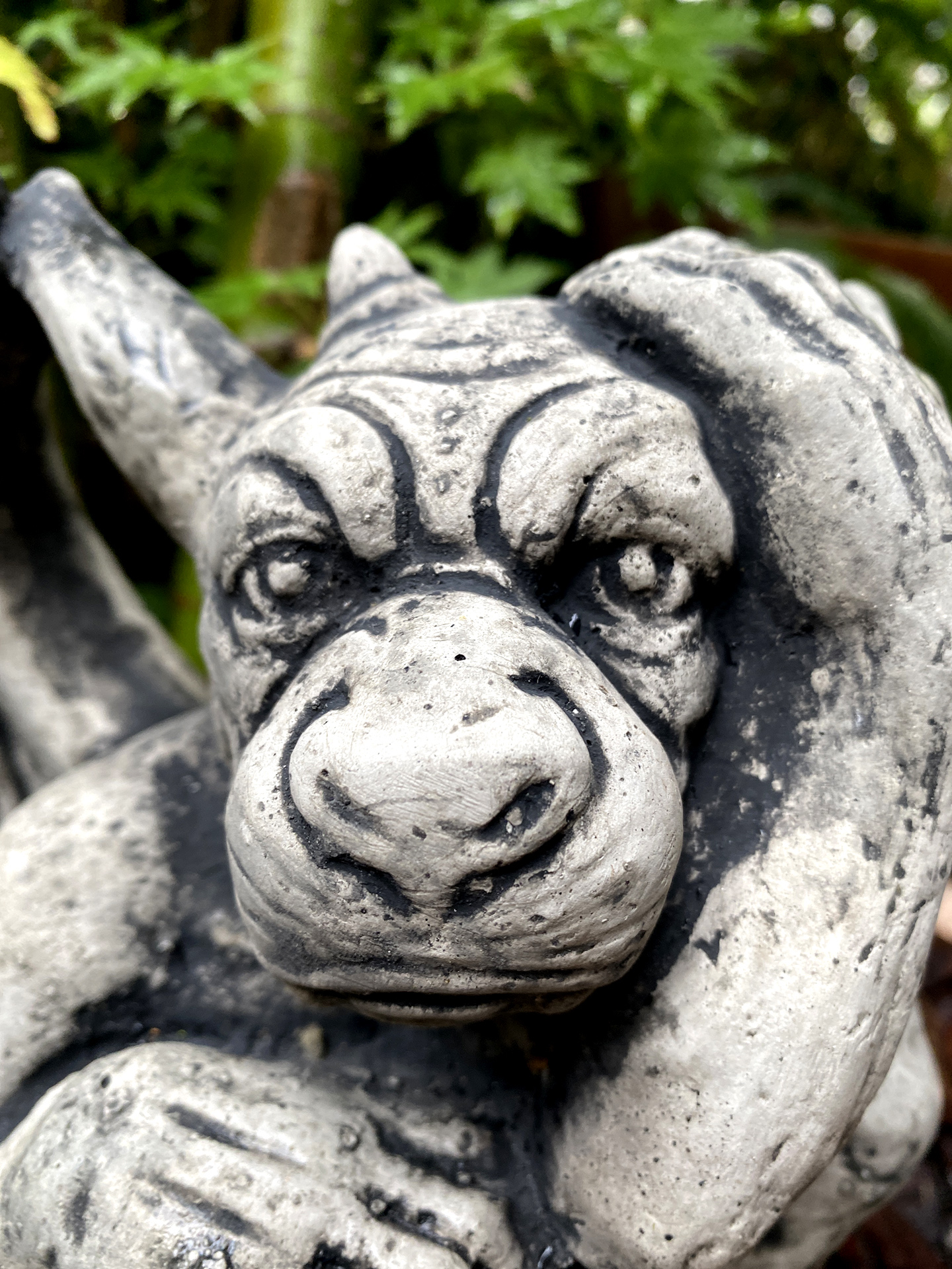 Kleiner ausheckender Gargoyle