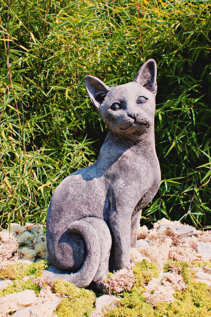Sitzende Katze