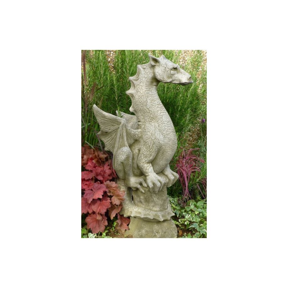 Halvard Drache Halvard