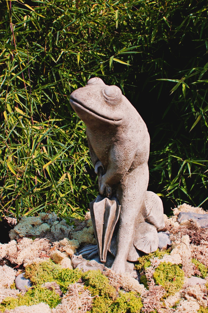 Frosch mit Regenschirm
