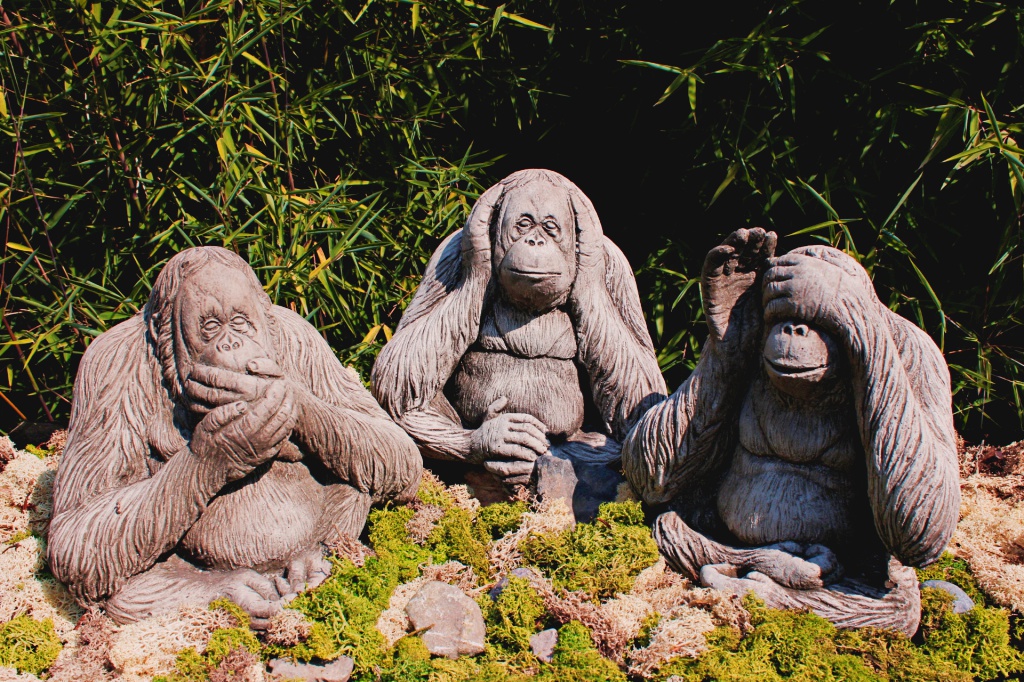 Affen-2 Orang Utans - nicht hörend, nicht sehend, nicht sprechend