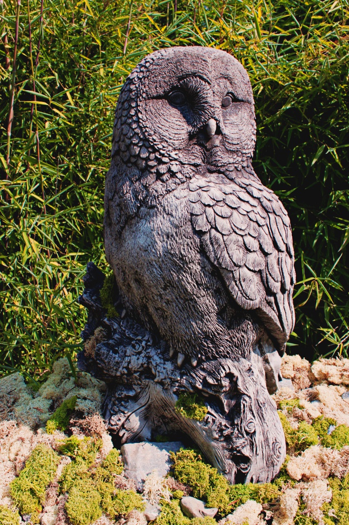 Eule-klein Große Eule
