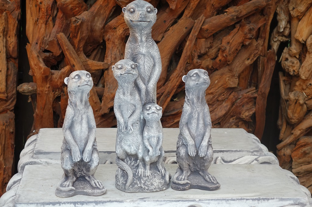 Erdm-nnchenxG2vZjidOhMlH Erdmännchen Familie