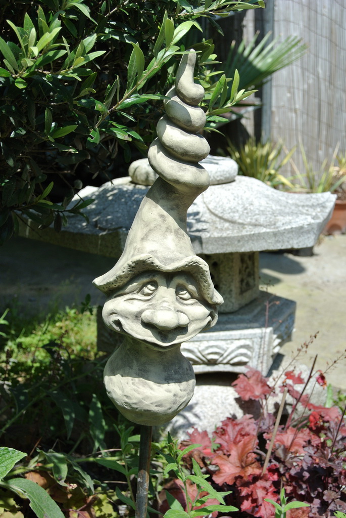 Magic Mushroom Spirlus