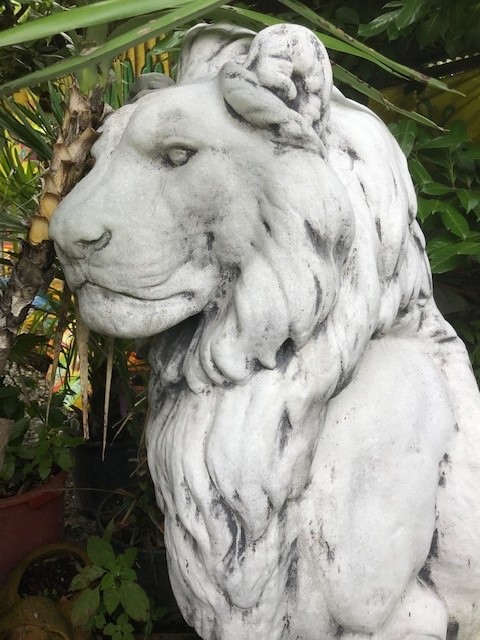 Großer Löwe - 136cm