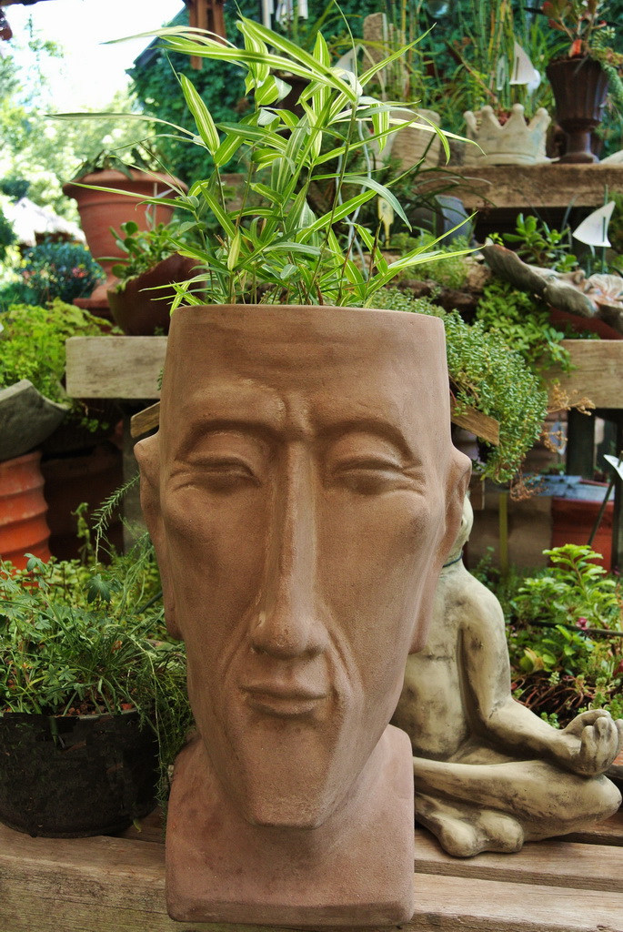 Pflanzkopf-Terra Bepflanzbarer Kopf mit Bart - 42 cm