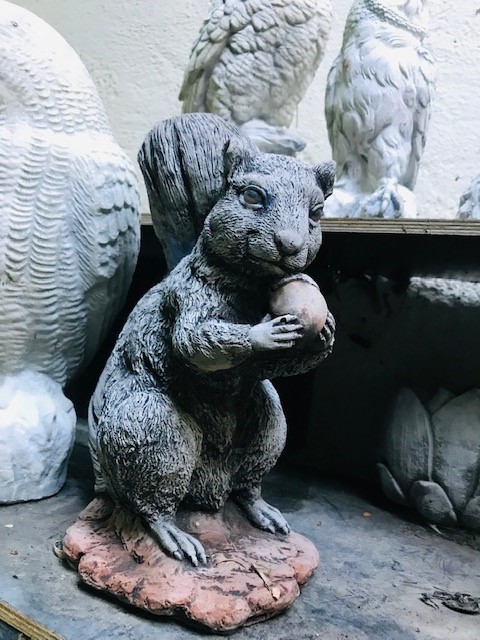 Eichhörnchen mit Eichel